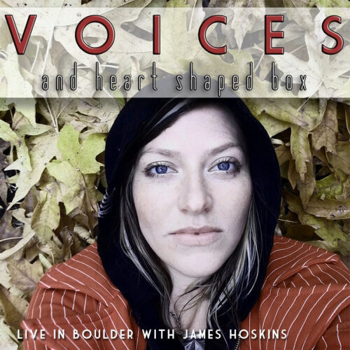 Voices and Heart Shaped Box Live — Adey Bell